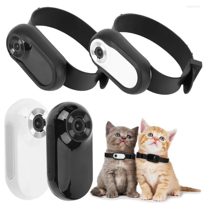 Smart pet care product 3