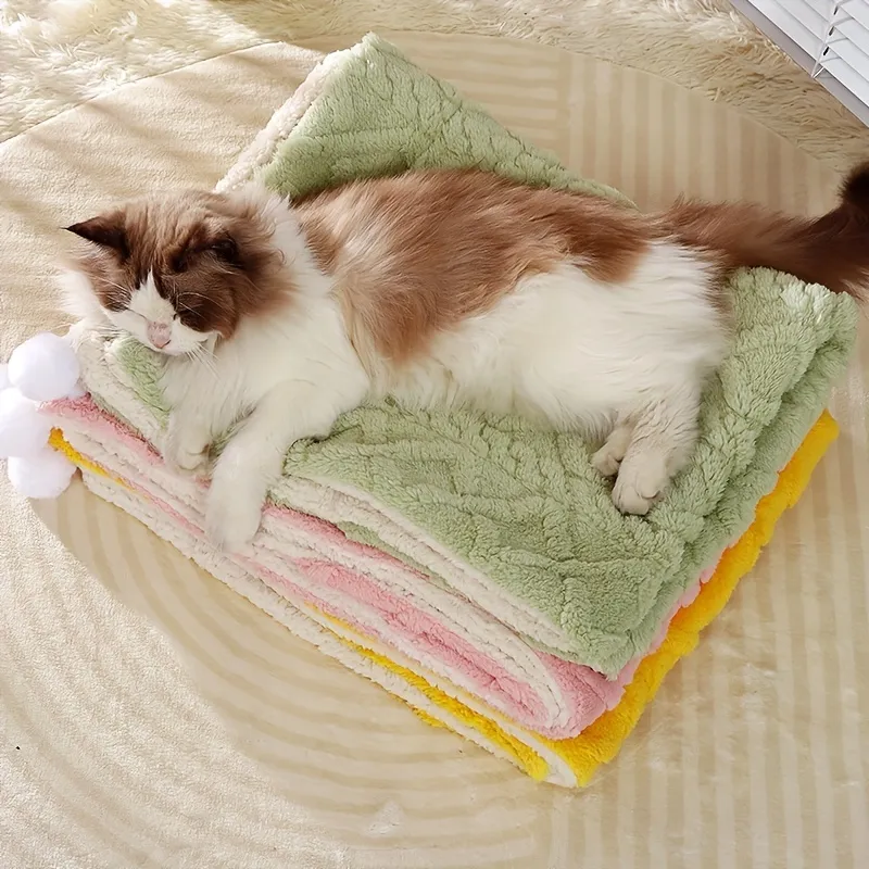 Pet comfort product 1