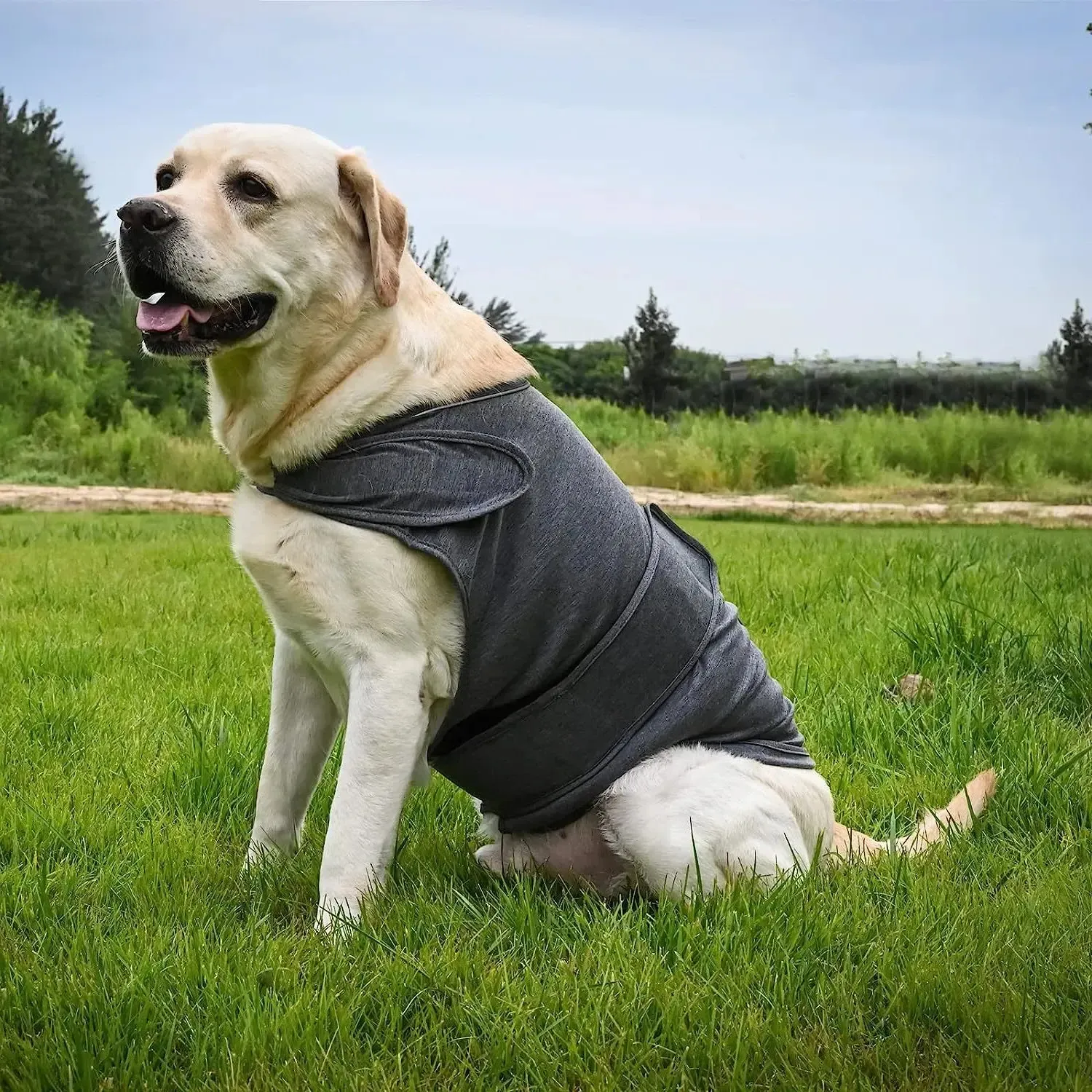 Pet comfort product 6