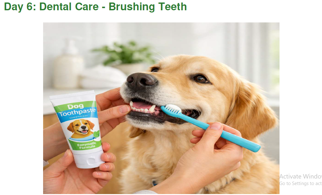 Day 6 dental care page thumbnail showing dog teeth brushing