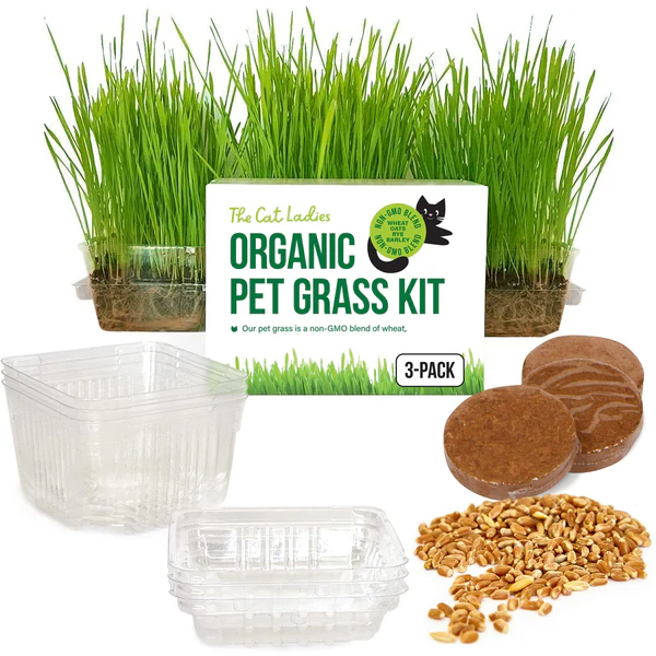 The Cat Ladies cat grass for indoor cats