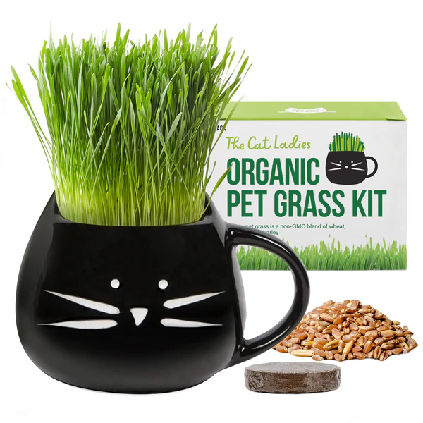 The Cat Ladies cat grass growing kit