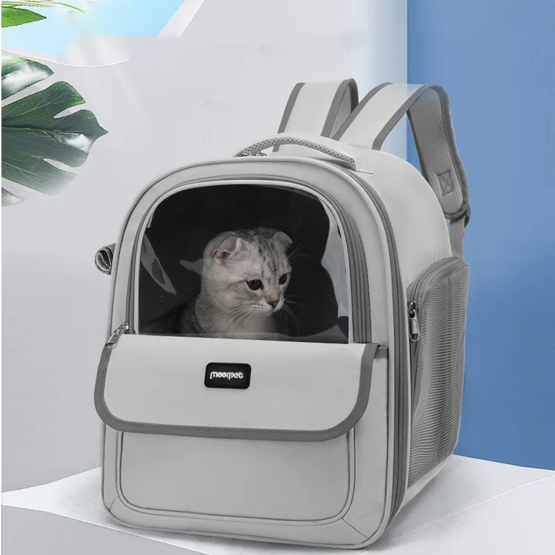 Expandable cat travel bag with mesh windows