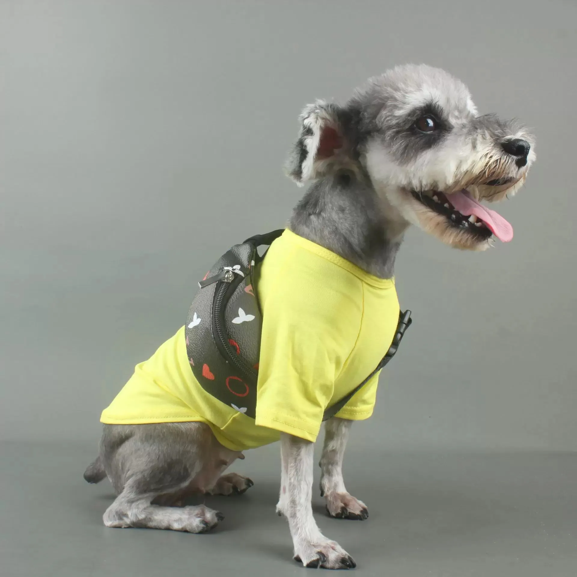 Breathable airline approved small pet travel backpack