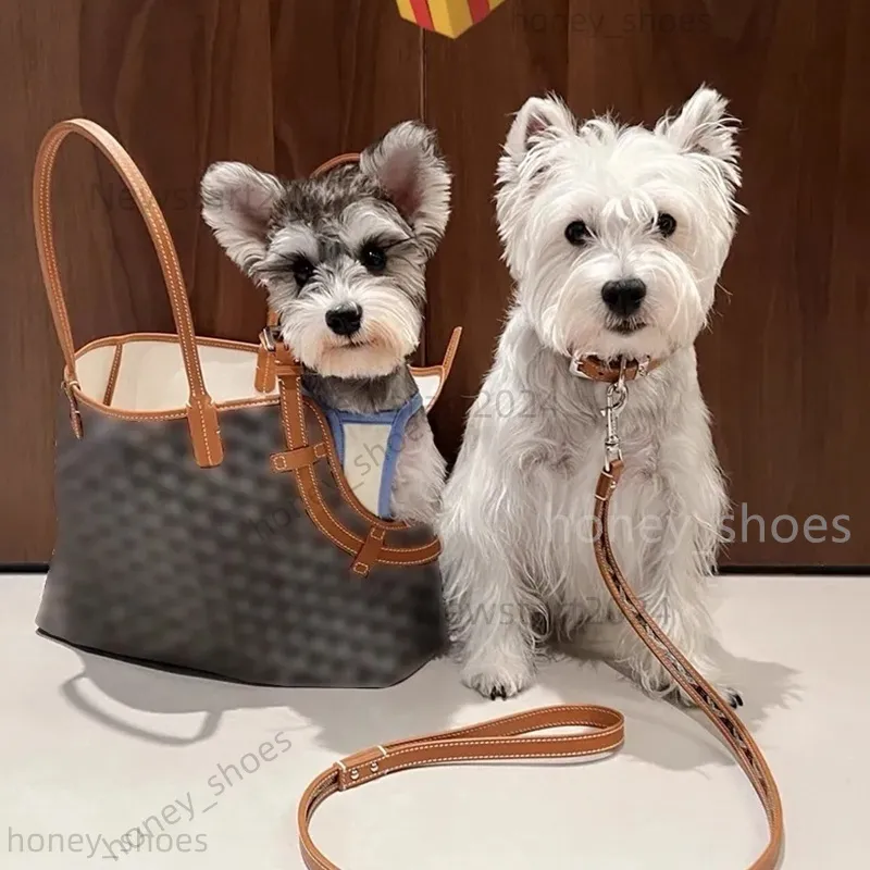Fashion forward waterproof pet carrier purse