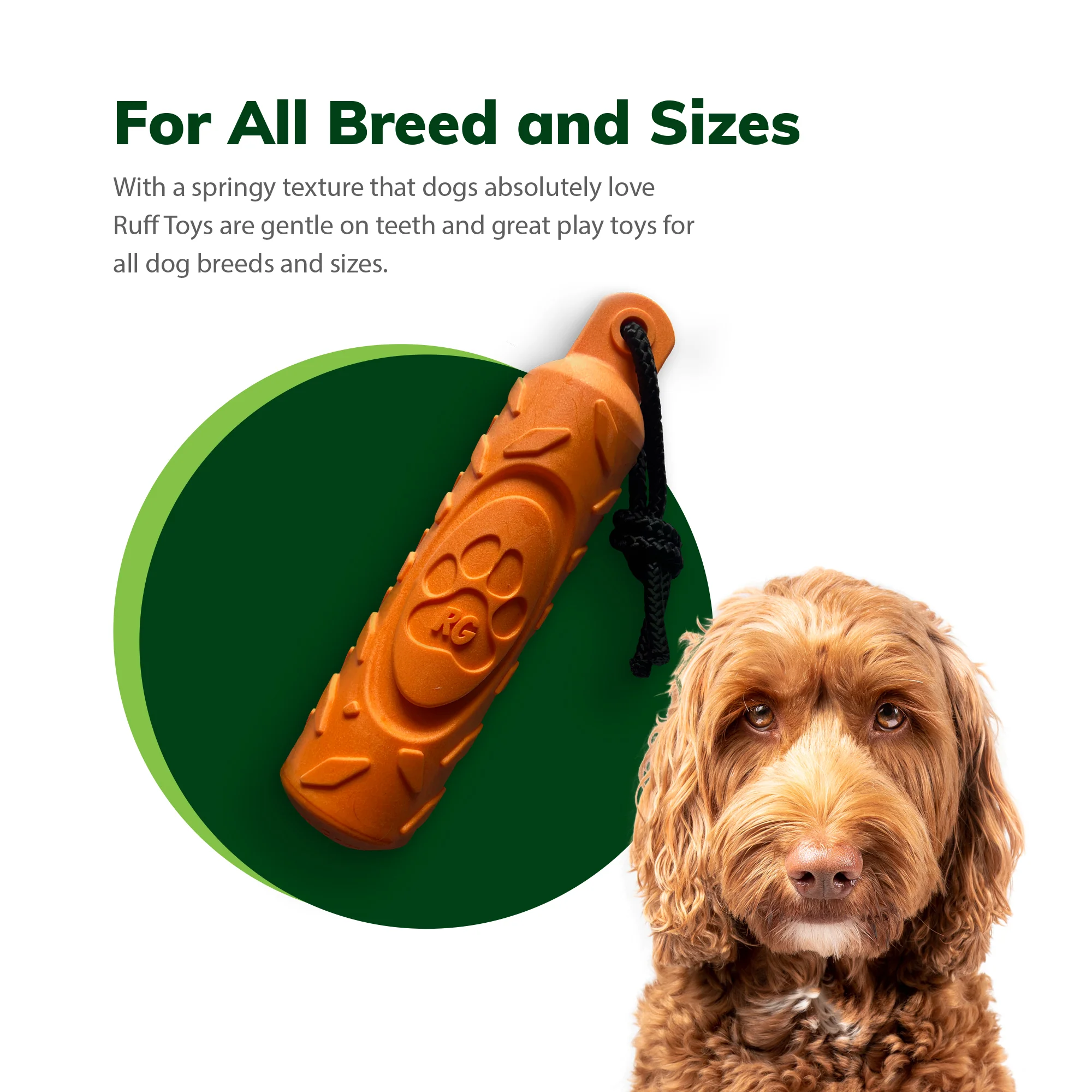 Ruff Greens interactive outdoor training toy dog cat