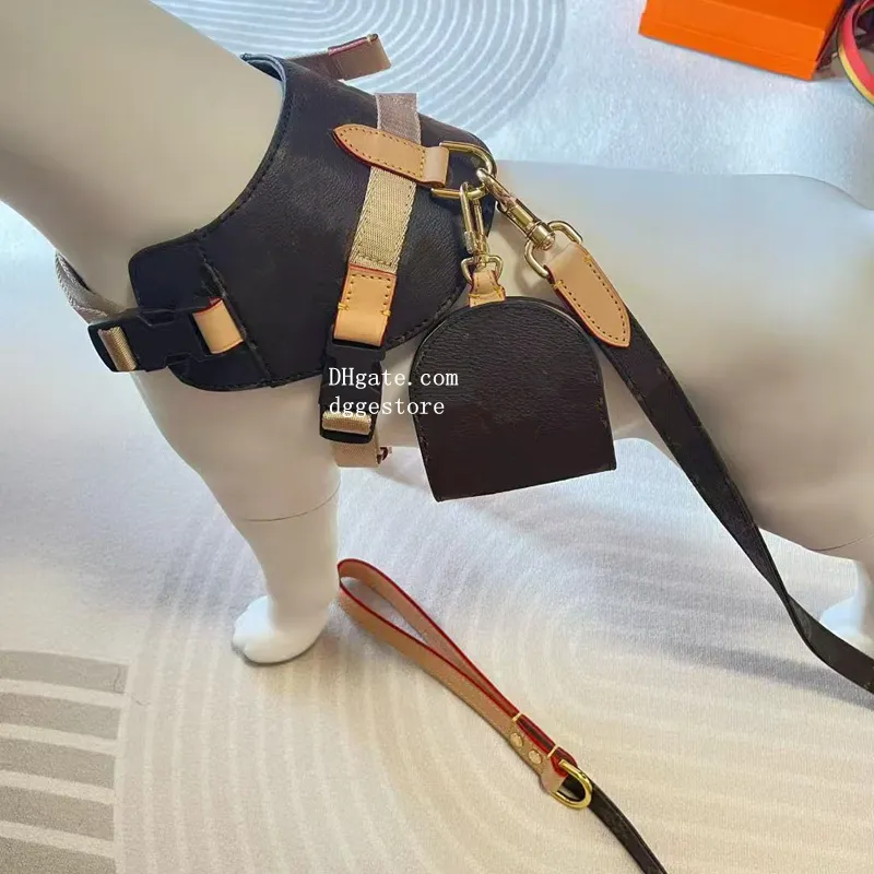 No pull matching premium collar leash set