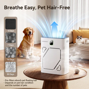 Meowant pet air purifier odor remover US warehouse