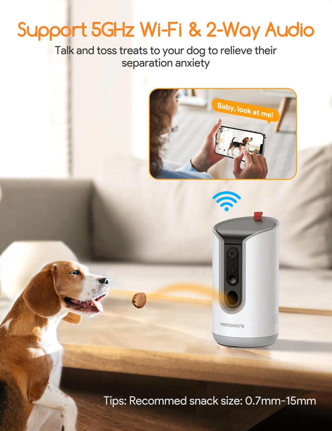 Treat Dispenser 2K Camera