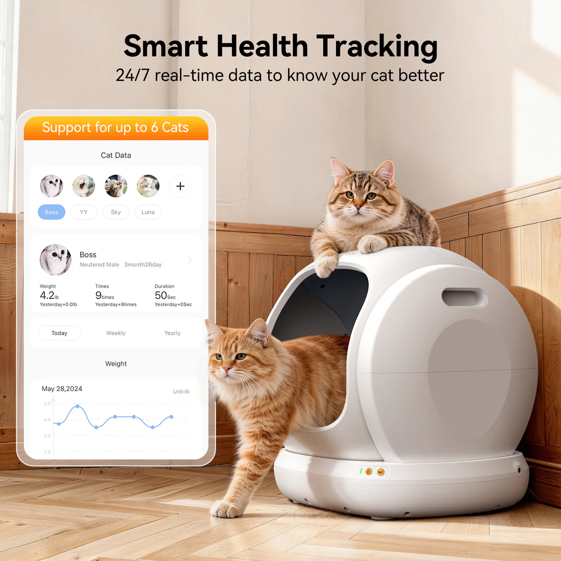 Self-Cleaning Litter Box