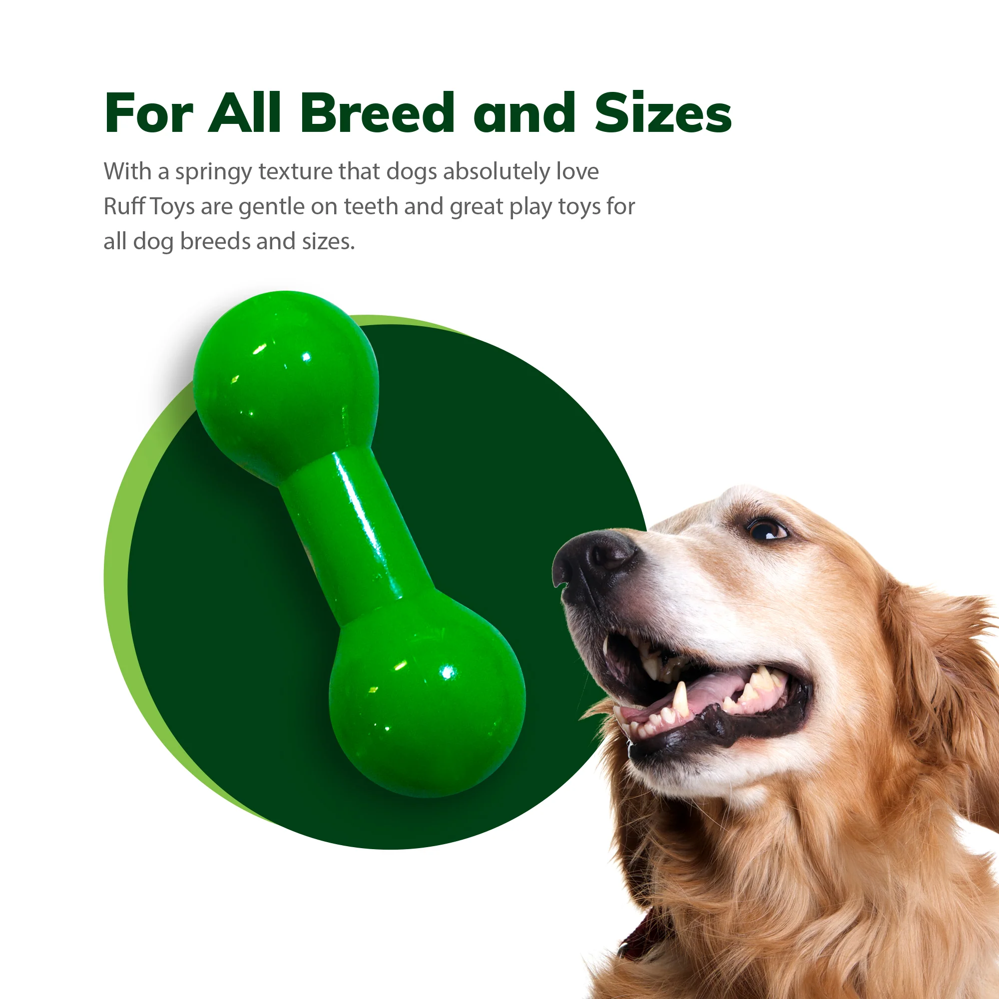 Ruff Greens dog cat play toy USA quality