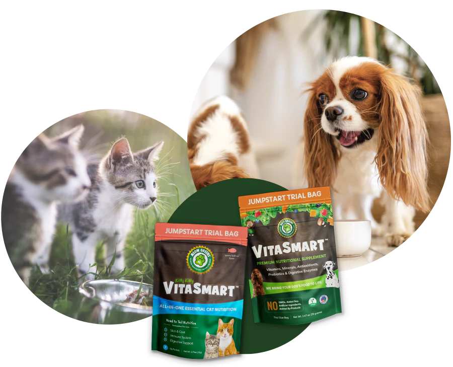 Ruff Greens premium pet vitamins USA made