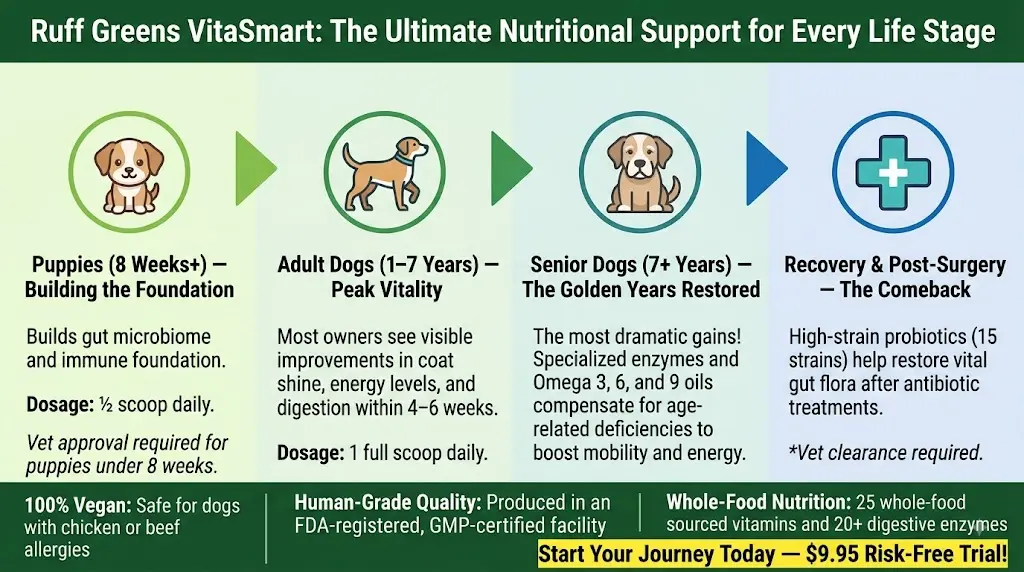 Ruff Greens for senior dogs — nutritional supplement benefits infographic